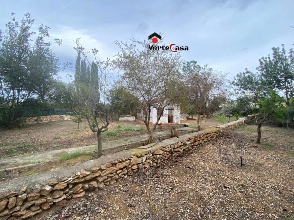 Terreno en camino del Pla