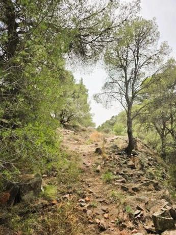 Terreno en calle Canteres, 18