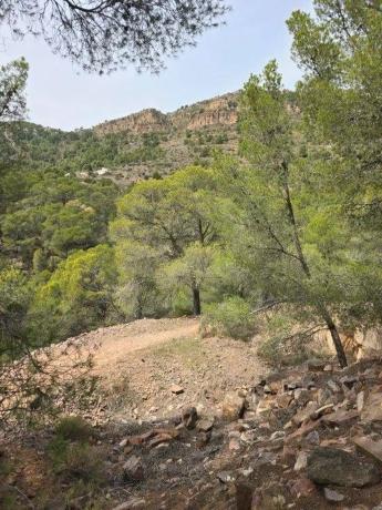 Terreno en calle Canteres, 18