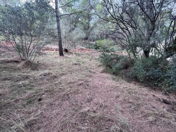 Terreno en camino Campamento