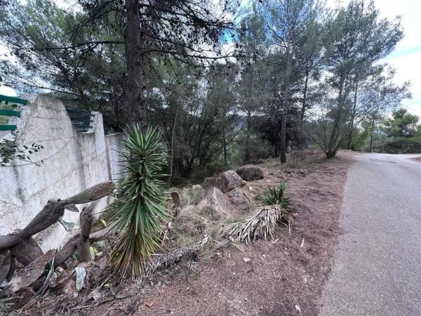 Terreno en camino Campamento