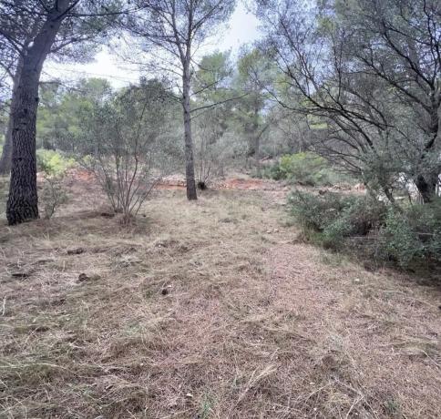 Terreno en camino Campamento