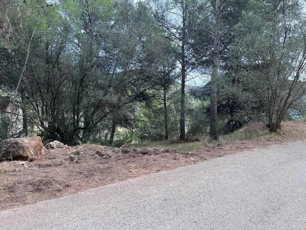 Terreno en camino Campamento