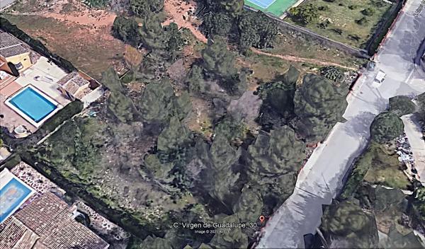 Terreno en calle Mare de Déu de Guadalupe s/n