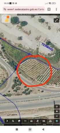 Terreno en Poligono 25 Parcela 4, 4