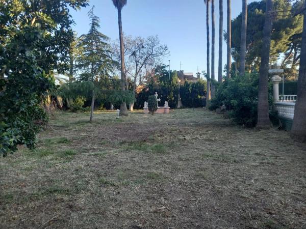 Terreno en Casco Urbano