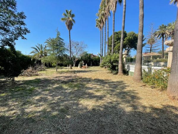 Terreno en Casco Urbano