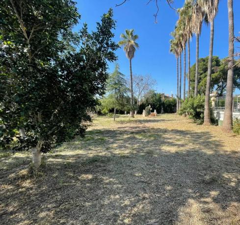 Terreno en Casco Urbano