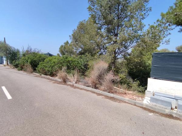 Terreno en calle Blasco Ibañez, 31