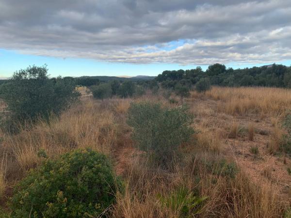 Terreno en plaza Poligono N-06.R, 312