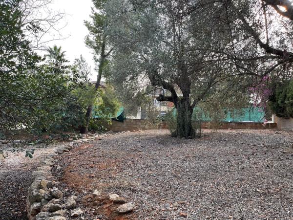 Terreno en Riba-Roja de Túria