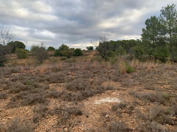 Terreno en plaza Poligono N-06.R, 312