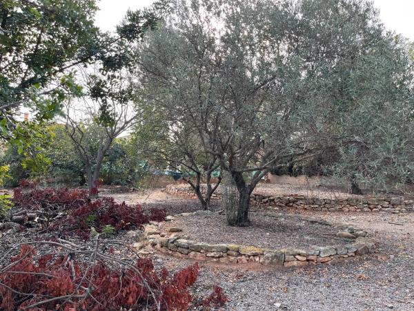 Terreno en Riba-Roja de Túria