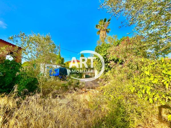 Terreno en calle Sant Miquel, 58