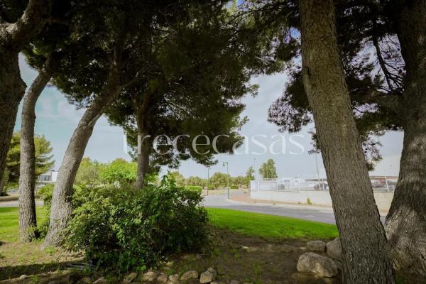 Terreno en calle Cotoliu