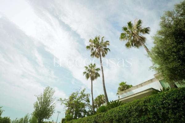 Terreno en calle Cotoliu