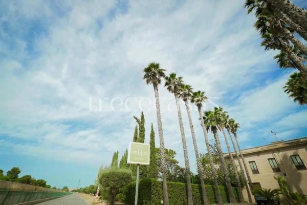 Terreno en calle Cotoliu