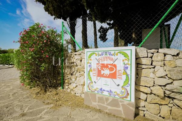 Terreno en calle Cotoliu