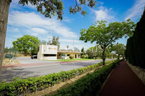 Terreno en calle Cotoliu