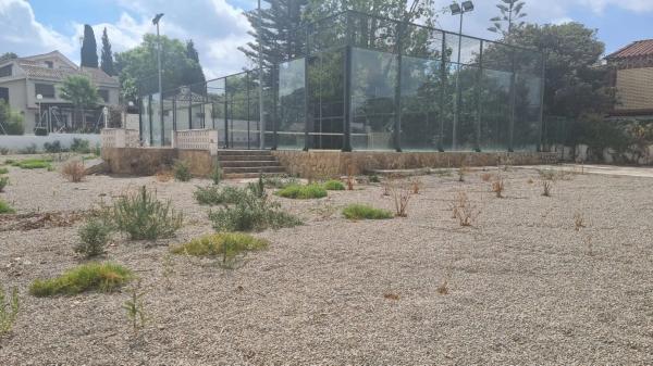 Terreno en Montealegre