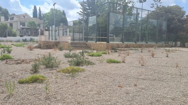 Terreno en Montealegre