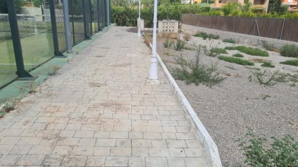 Terreno en Montealegre