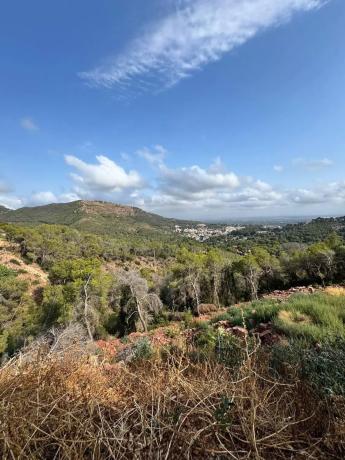 Terreno en Casco Urbano