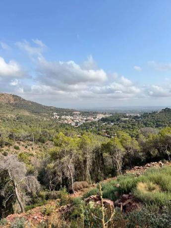 Terreno en Casco Urbano