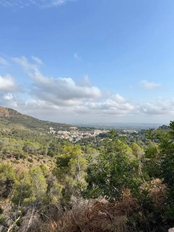 Terreno en Casco Urbano
