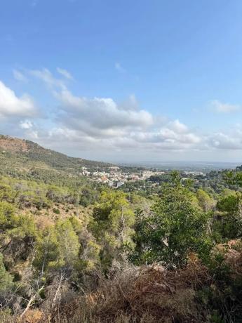Terreno en Casco Urbano