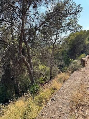 Terreno en Casco Urbano