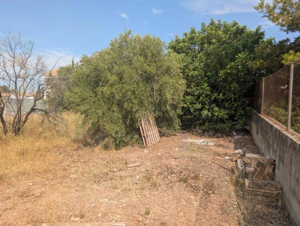 Terreno en La Conarda-Montesano