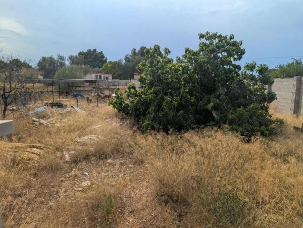 Terreno en La Conarda-Montesano