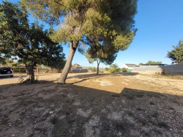 Terreno en calle Más dels Cotos s/n