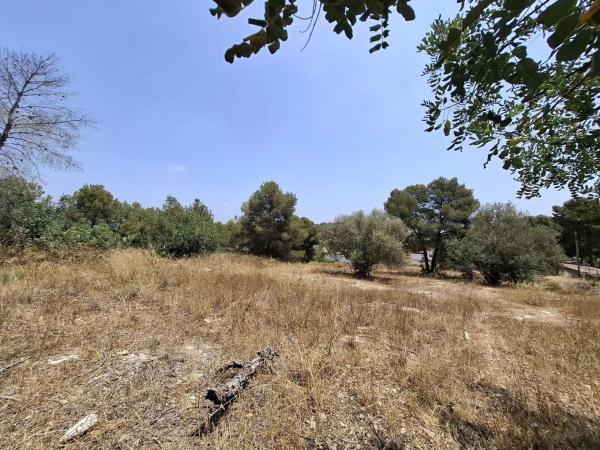 Terreno en calle la Lloma