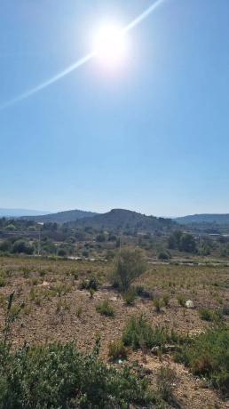 Terreno en calle Juan de Austria, 50