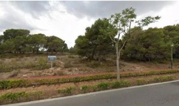 Terreno en calle de l'Oroneta, 84