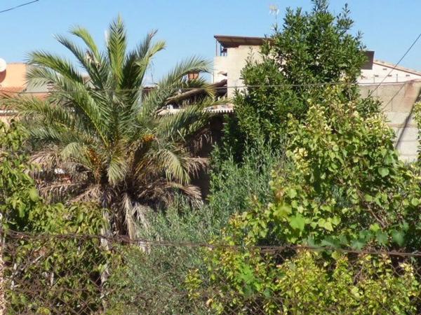 Terreno en Vilamarxant