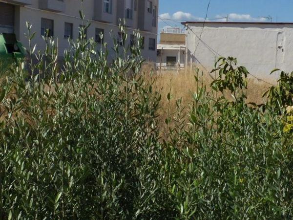 Terreno en Vilamarxant