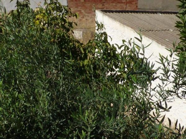 Terreno en Vilamarxant