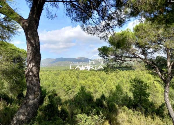 Terreno en calle Mestral