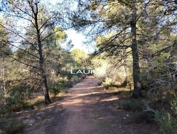 Terreno en calle Mestral