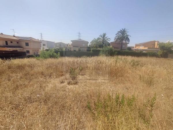 Terreno en calle Francisco Tomás y Valiente, 12