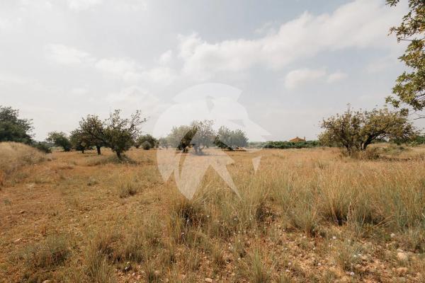 Terreno en Poligono 14