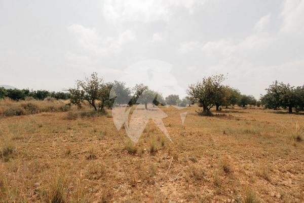 Terreno en Poligono 14