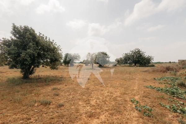 Terreno en Poligono 14