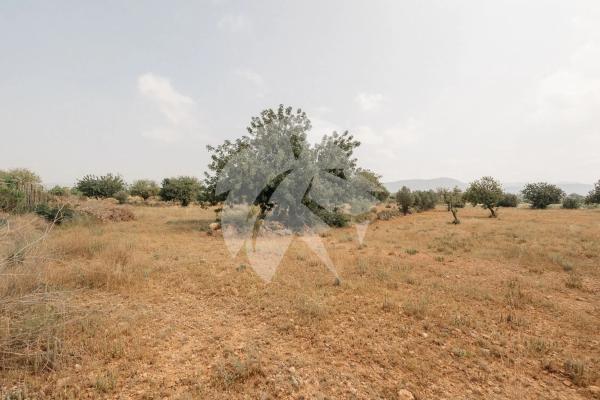 Terreno en Poligono 14