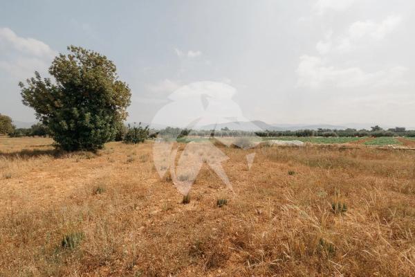 Terreno en Poligono 14