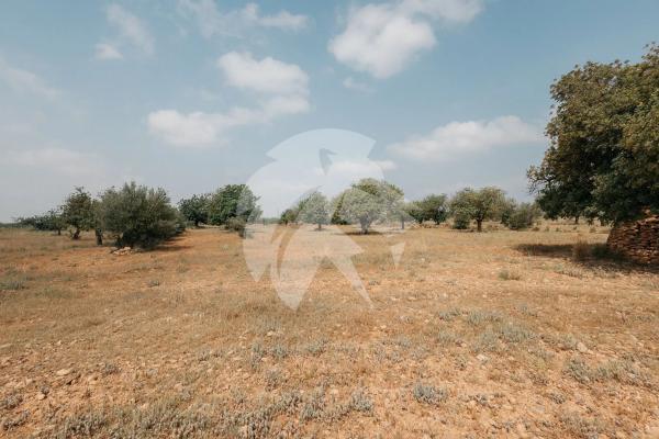 Terreno en Poligono 14