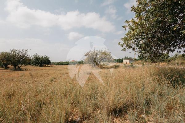 Terreno en Poligono 14